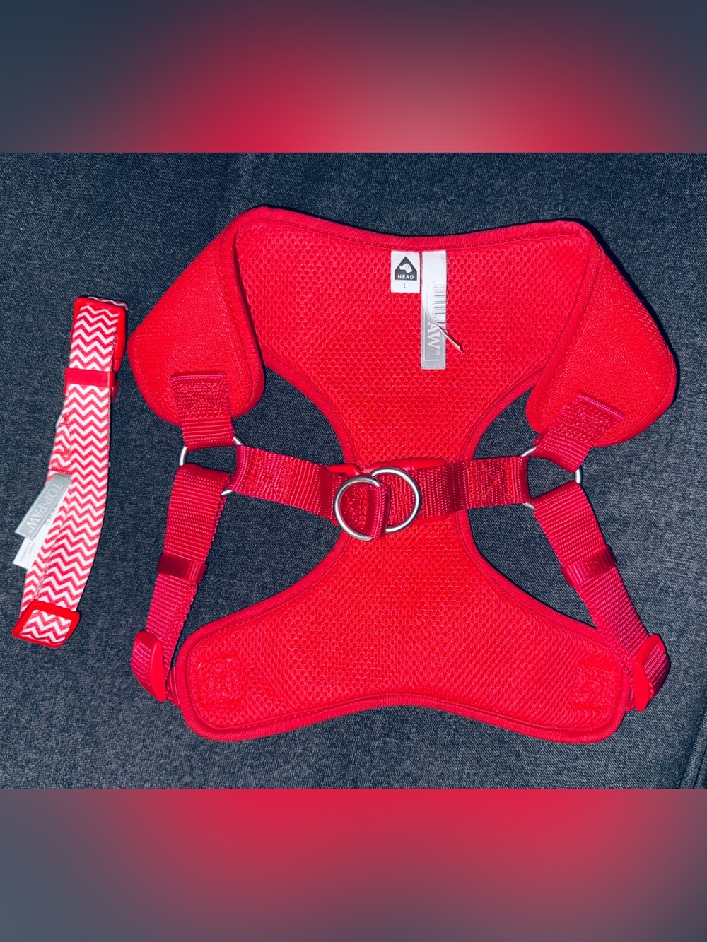 Top Paw dog collar and harness set
